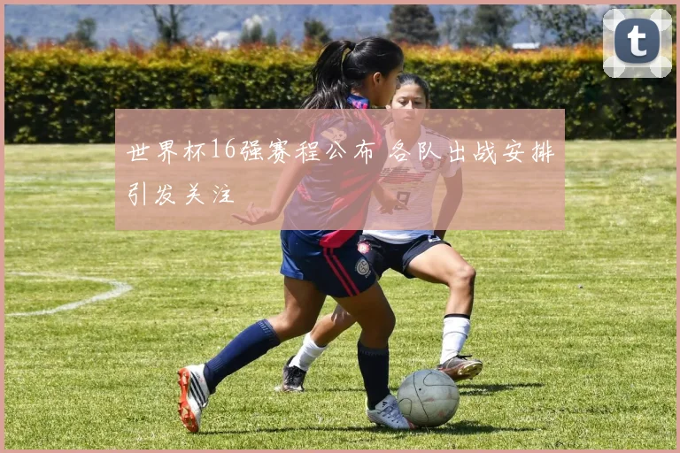 世界杯16强赛程公布 各队出战安排引发关注
